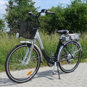 Elektrofahrrad E-Bike 250 Watt 28 Zoll Alu metallic